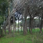 Farorientale 3*